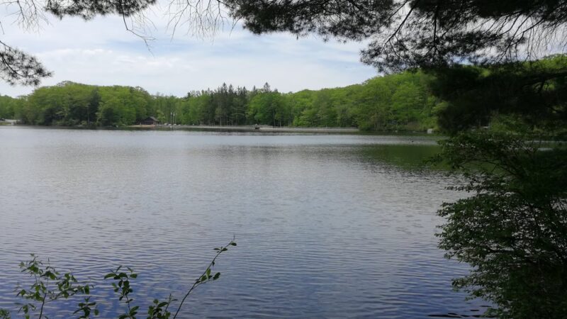 Beartown State Forest - Monterey, MA