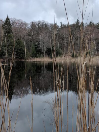 Beartown State Forest - Monterey, MA