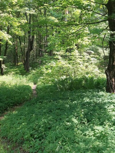 Mt. Hunger Trailhead at Konkapot Ridge Reserve - Monterey, MA
