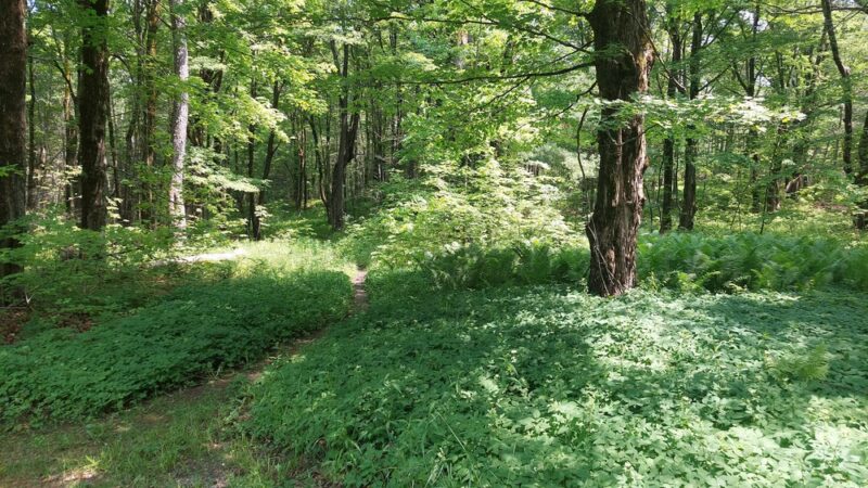 Mt. Hunger Trailhead at Konkapot Ridge Reserve - Monterey, MA
