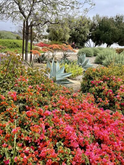 Demonstration Garden - Monterey Park, CA