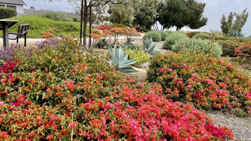 Demonstration Garden - Monterey Park, CA