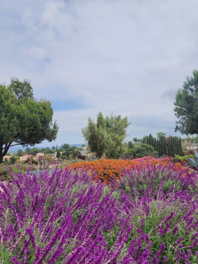Demonstration Garden - Monterey Park, CA