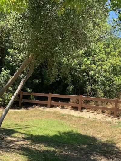 Edison Trails Hike - Monterey Park, CA