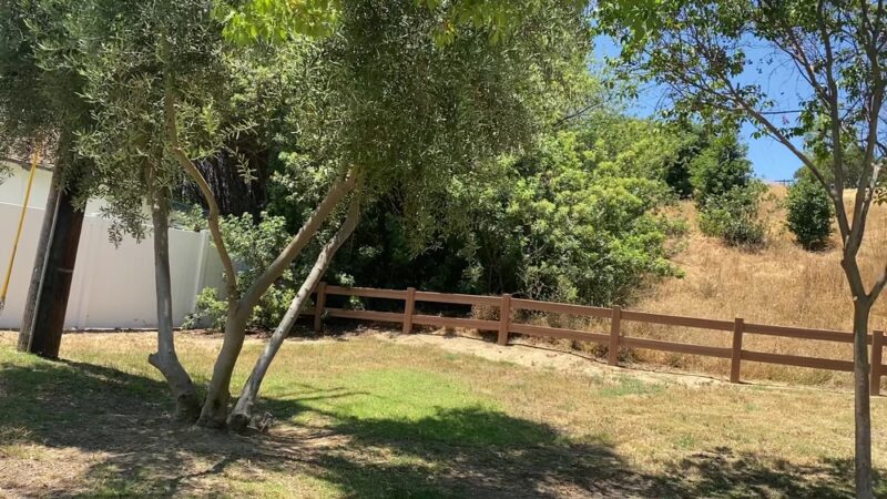 Edison Trails Hike - Monterey Park, CA