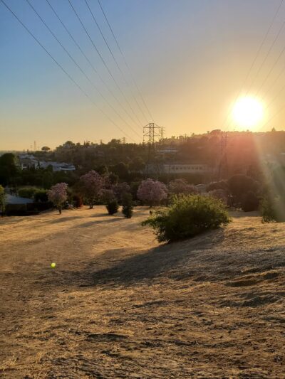 Edison Trails Hike - Monterey Park, CA