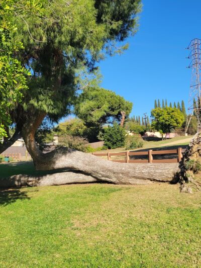 Edison Trails Park - Monterey Park, CA