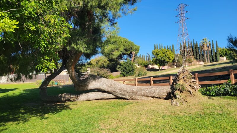 Edison Trails Park - Monterey Park, CA