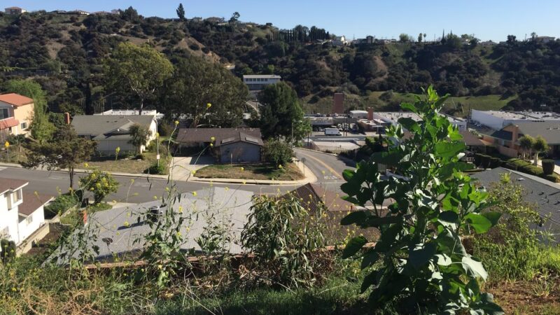 Highlands Park - Monterey Park, CA