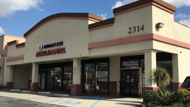 Monterey Park Animal Hospital - Monterey Park, CA