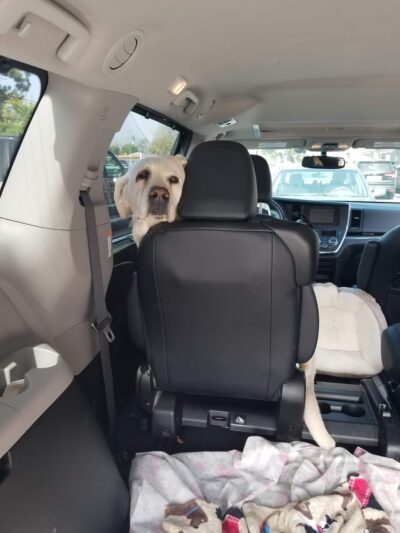 Veterinary Healthcare Center - Monterey Park, CA