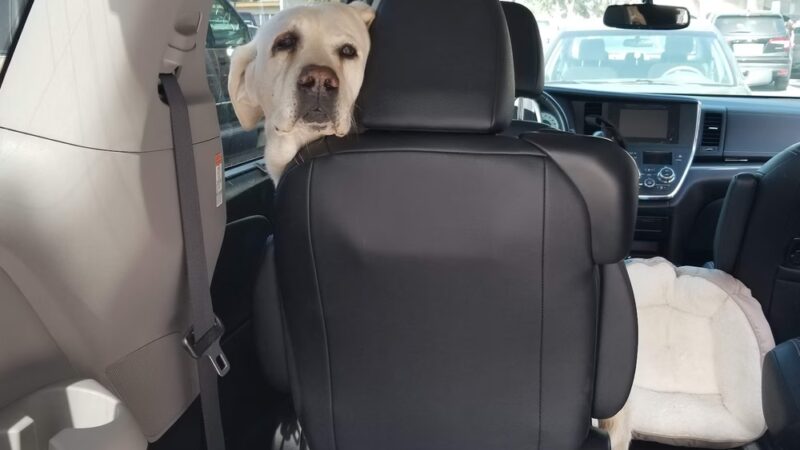 Veterinary Healthcare Center - Monterey Park, CA