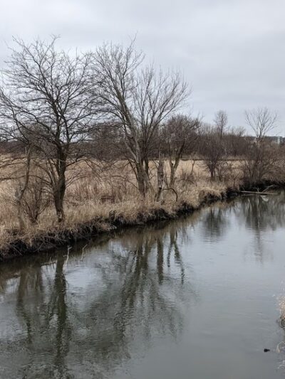 Blackberry Trail Park - Montgomery, IL