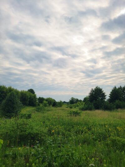 Blackberry Trail Park - Montgomery, IL