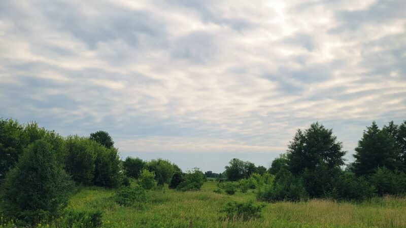 Blackberry Trail Park - Montgomery, IL
