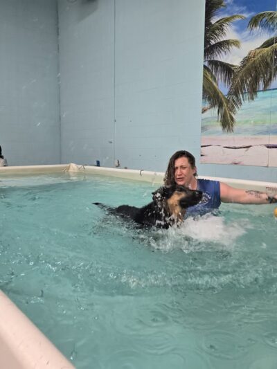 Canine Physical Rehab & Recreation - Montgomery, IL