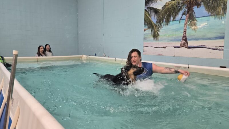 Canine Physical Rehab & Recreation - Montgomery, IL