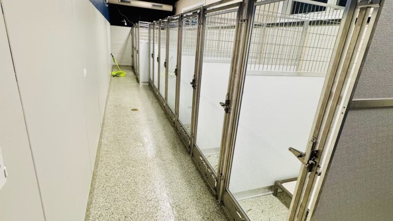 Pet Place - Montgomery, IL