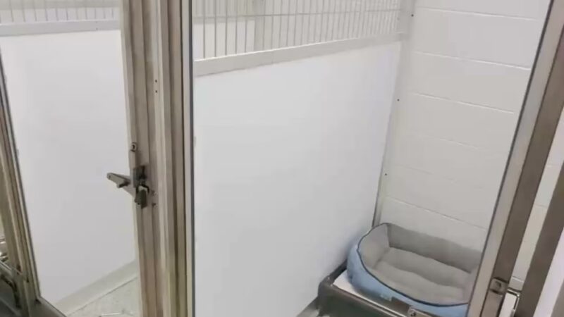 Pet Place - Montgomery, IL