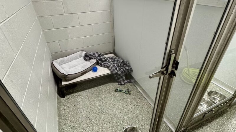 Pet Place - Montgomery, IL