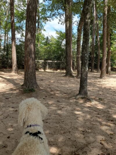 Admiral Bark Park - Montgomery, TX