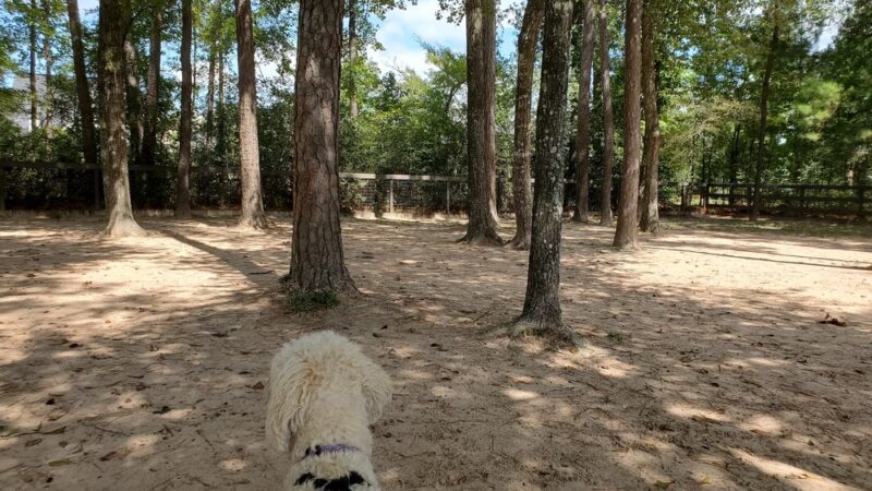 Admiral Bark Park - Montgomery, TX