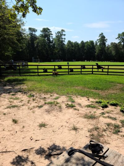 Admiral Bark Park - Montgomery, TX