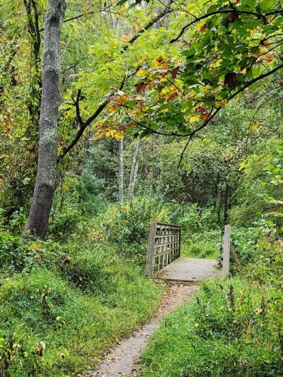 Great Seneca Stream Valley Park - Montgomery Village, MD
