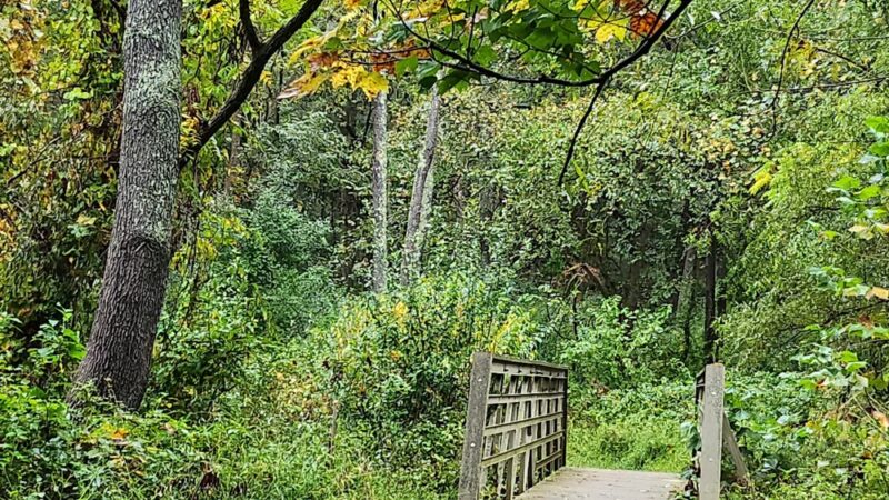 Great Seneca Stream Valley Park - Montgomery Village, MD