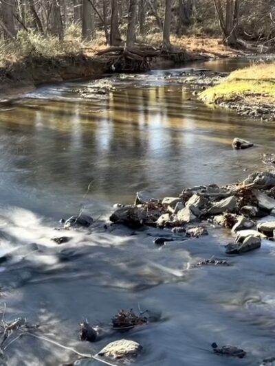 Great Seneca Stream Valley Park - Montgomery Village, MD