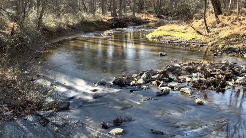 Great Seneca Stream Valley Park - Montgomery Village, MD