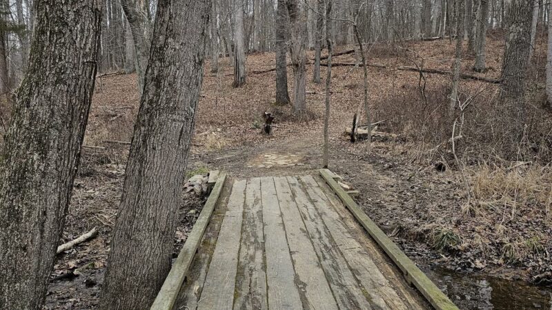 Great Seneca Stream Valley Park - Montgomery Village, MD