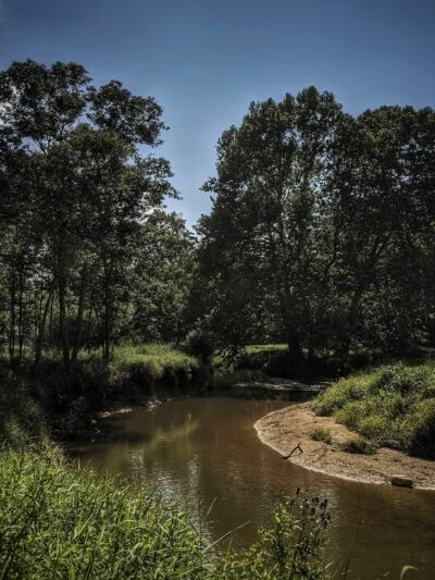 Great Seneca Stream Valley Park - Montgomery Village, MD