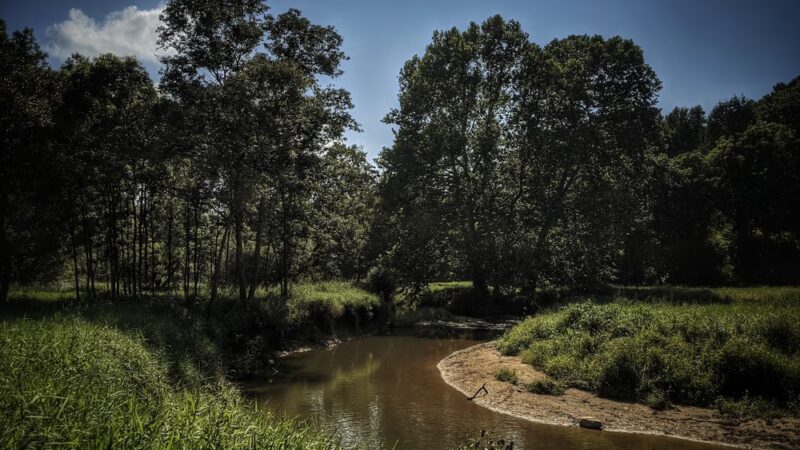 Great Seneca Stream Valley Park - Montgomery Village, MD