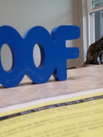 Jefferson County Humane Society - Monticello, FL