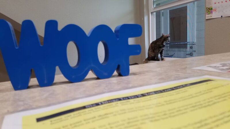 Jefferson County Humane Society - Monticello, FL