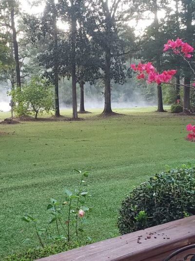 Misty Lakes Pet Resort - Monticello, FL