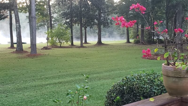 Misty Lakes Pet Resort - Monticello, FL