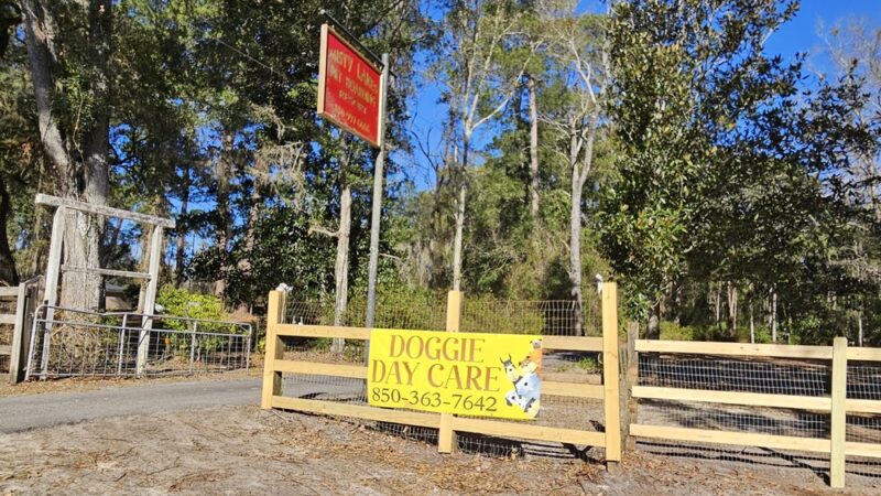 Misty Lakes Pet Resort - Monticello, FL