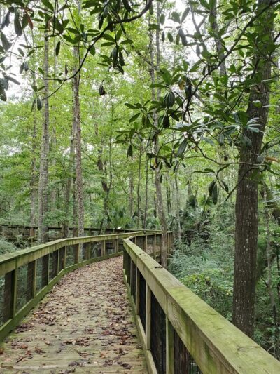 Monticello Ecological Park - Monticello, FL