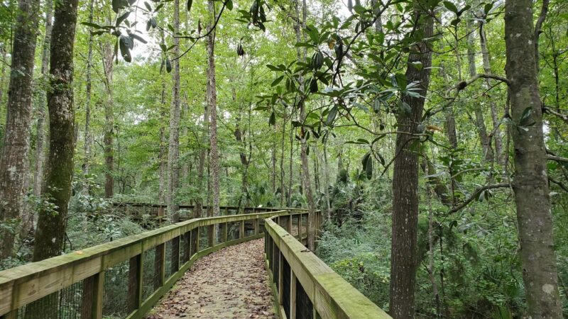 Monticello Ecological Park - Monticello, FL
