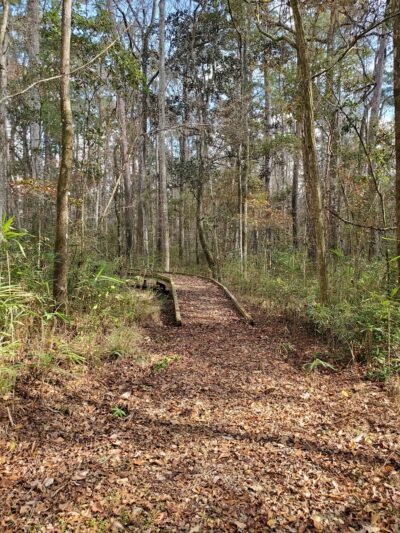 Monticello Ecological Park - Monticello, FL