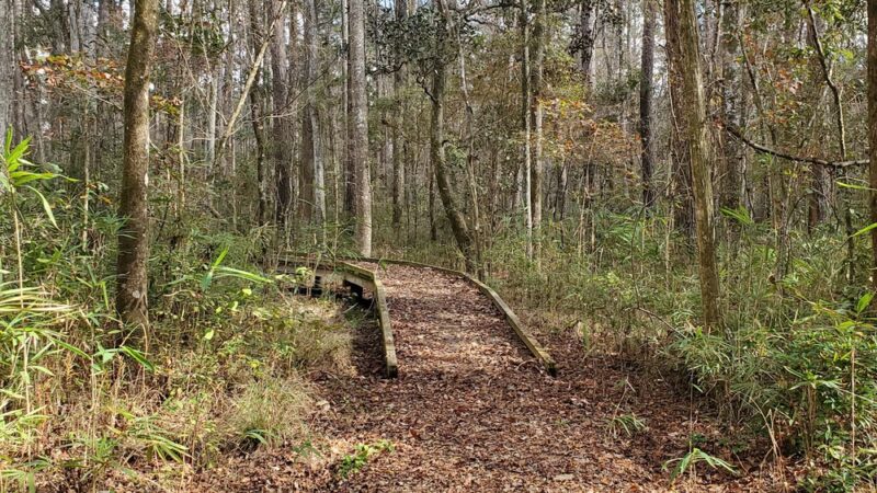Monticello Ecological Park - Monticello, FL
