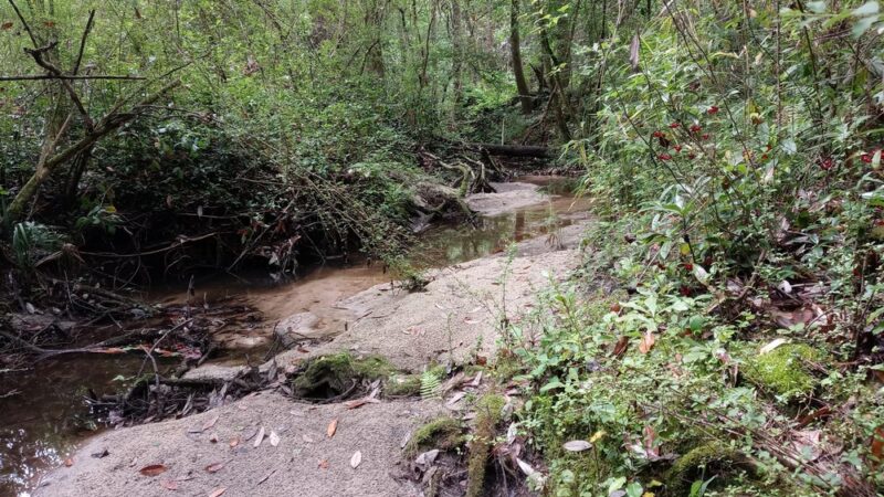 Monticello Ecological Park - Monticello, FL