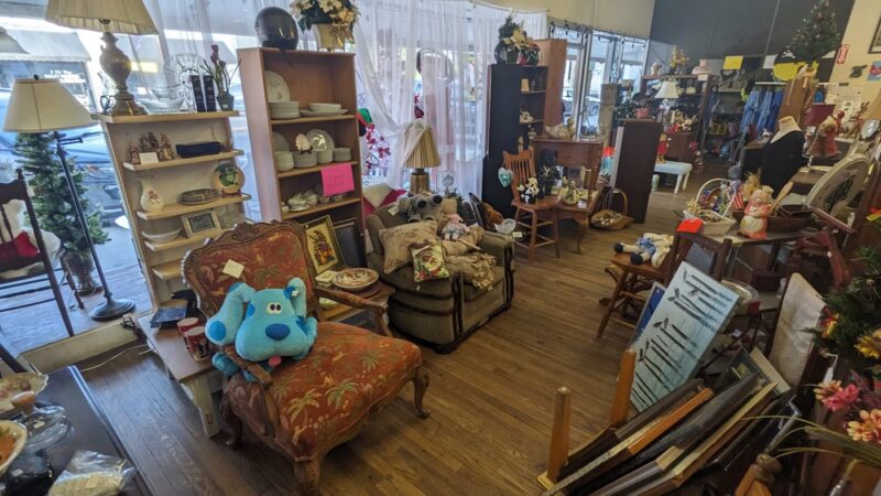 Wag the Dog Thrift Store - Monticello, FL