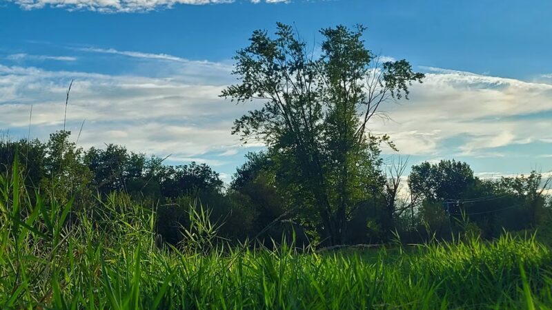 Monticello Trailhead - Monticello, WI