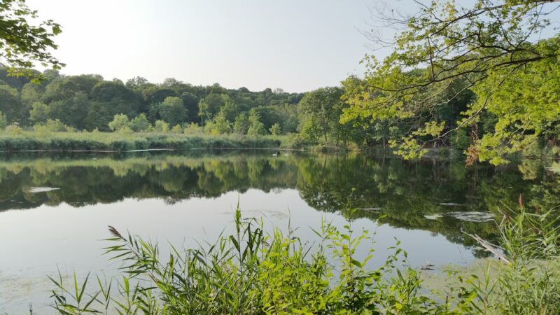 George’s Island Park - Montrose, NY