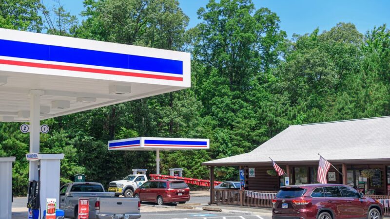 Bird Dogs Country Store - Montross, VA