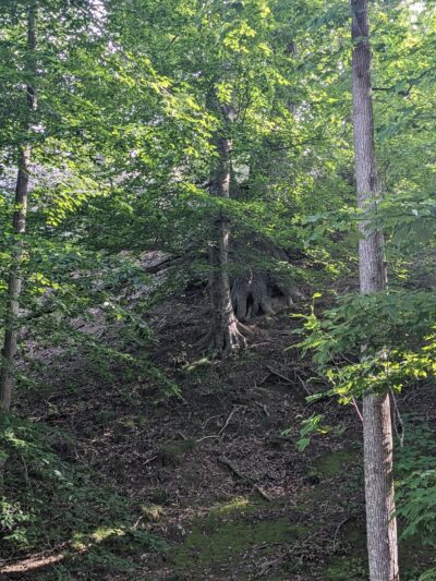 Westmoreland Beach - Montross, VA