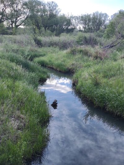 Dirty Woman Park - Monument, CO